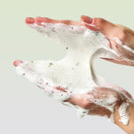Anua Heartleaf Quercetinol Pore Deep Cleansing Foam